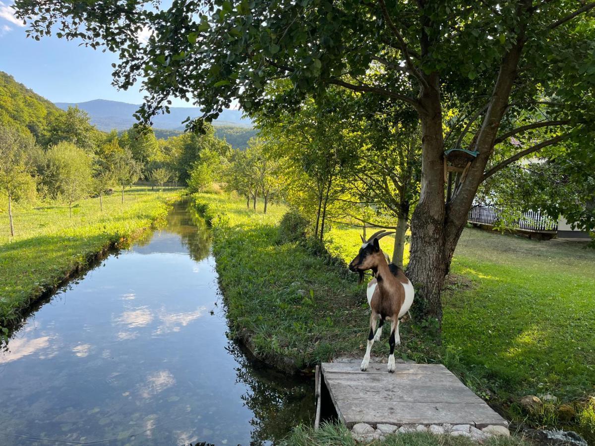 Soko Holiday Home Bihać Exteriör bild